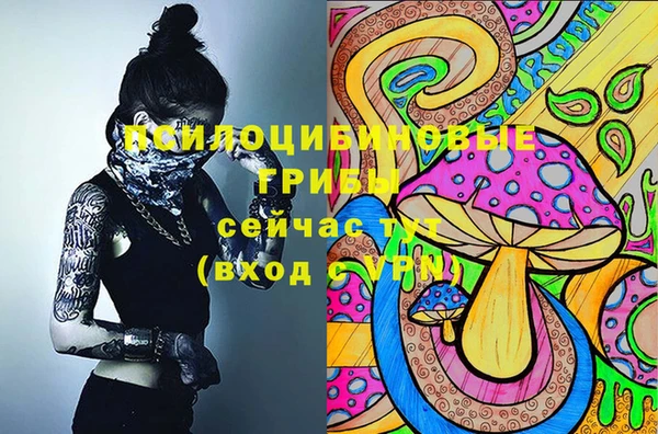 тгк Чердынь
