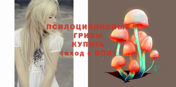 твердый Чегем