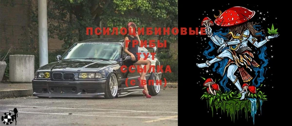 тгк Чердынь