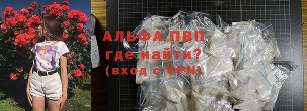 твердый Чегем