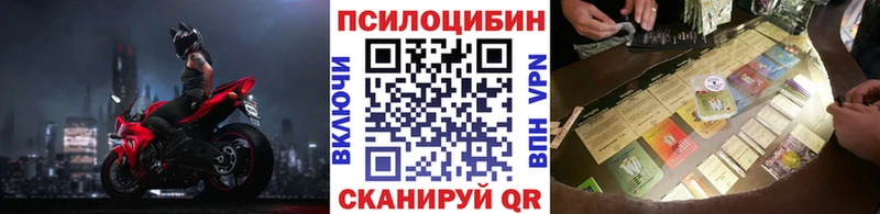 Купить  Боровичи  Галлюциногенные грибы Psilocybine cubensis 