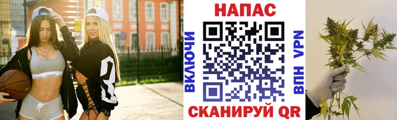 Шишки марихуана планчик Боровичи